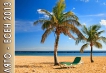  - PLD Travel